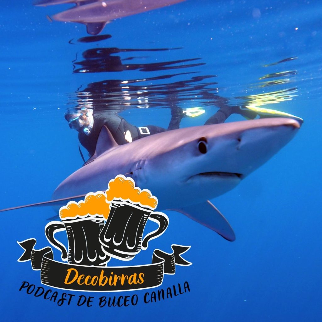 Decobirras capìtulo 9